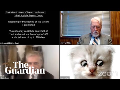 'I?m not a cat': lawyer gets stuck on Zoom kitten filter during court case