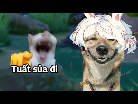 Tuất Quân Fbz và sự tích Ai chơi ngu phải hát BẰNG TIẾNG CHÓ (w/fangteam)