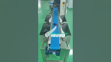 Automatic weight grading weight grader machine for cucumber seafood#weightsorting