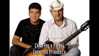 Chico Rey e Paraná - Canarinho Prisioneiro