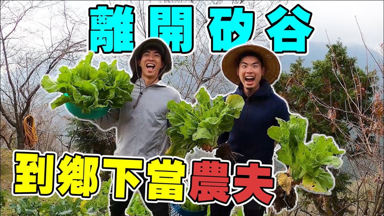 高難度農耕挑戰！超陡山坡上工作差點死掉！｜The DoDo Men 嘟嘟人