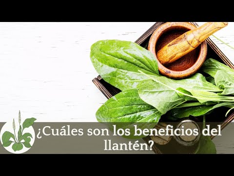 ¿Cuáles son los beneficios del LLANTÉN?