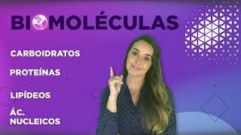 Como podem ser classificadas as biomoléculas?