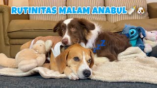 Anabuls Night Routine Drink Milk, Brush Teeth, Pray Before Sleeping