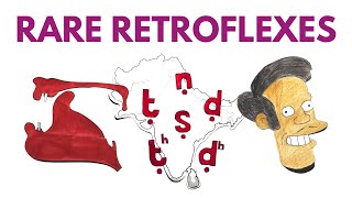 What Are the Retroflexes? | Languages of South Asia