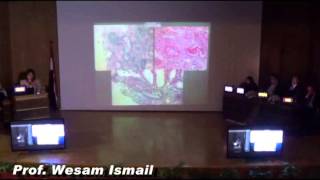 Pathology Of Hypertensive Kidney Disease Dr. Wesam Ismail