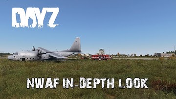 In Depth Look At DayZ