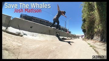 Save The Whales | Josh Mattson