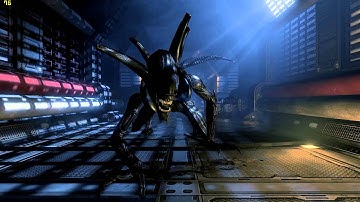 nVidia ShadowPlay with AvP D3D11 Benchmark - i5 3570k gtx 770