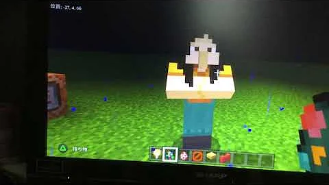 マイクラコマンドでしか出せない卵
