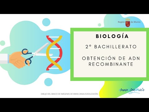 OBTENCIÓN DE ADN RECOMBINANTE hqdefault
