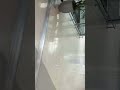 2026 Timelapse Tour of Orlando International Airport Terminal C Level 3 Monorail Platform