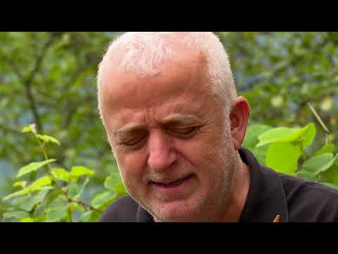 ეთნოფორი • etnopori (გადაცემა ასოთხმოცდამეთხუთმეტე) 21.11.2019წ.