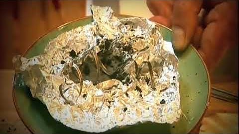 How David Hahn created a homeade nuclear reactor