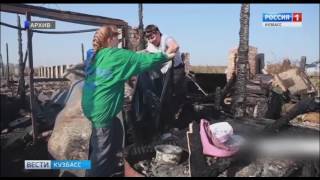 В Кемерове обсуждают проблему бродячих собак В Кемерове обсуждают проблему бродячих собак