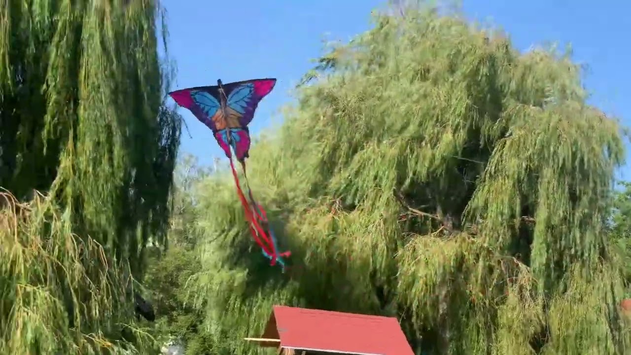 🐲🐉🦋 Sárkány reptetés