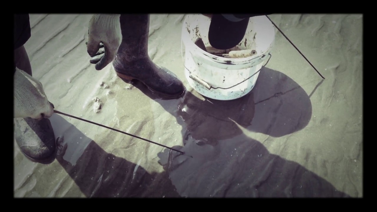 How to get razor shell? 맛조개 캐기? 조캐 캐는 법?