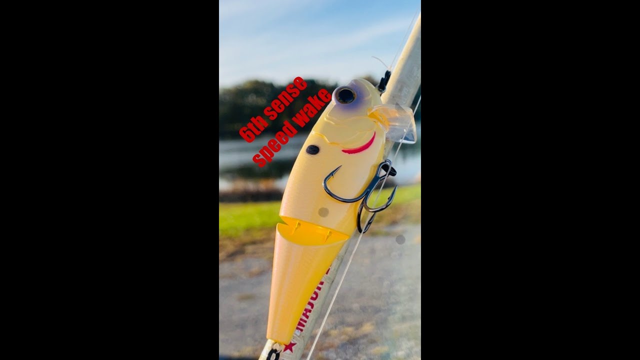 race agiants the sunset with 6th sense speed wake! #fishing #bassfishing #fish #6thsensefishing