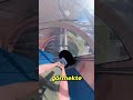 En Tehlikeli Kaydırağı Denedi… Sonrasında Olanlar Korkunç 😳😱