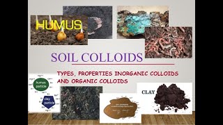 Soil Colloids and its characteristics