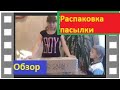 Распаковка посылки саженцы с сайта" Сады России"