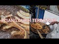 MAKAN PISANG GORENG TERBANG!!