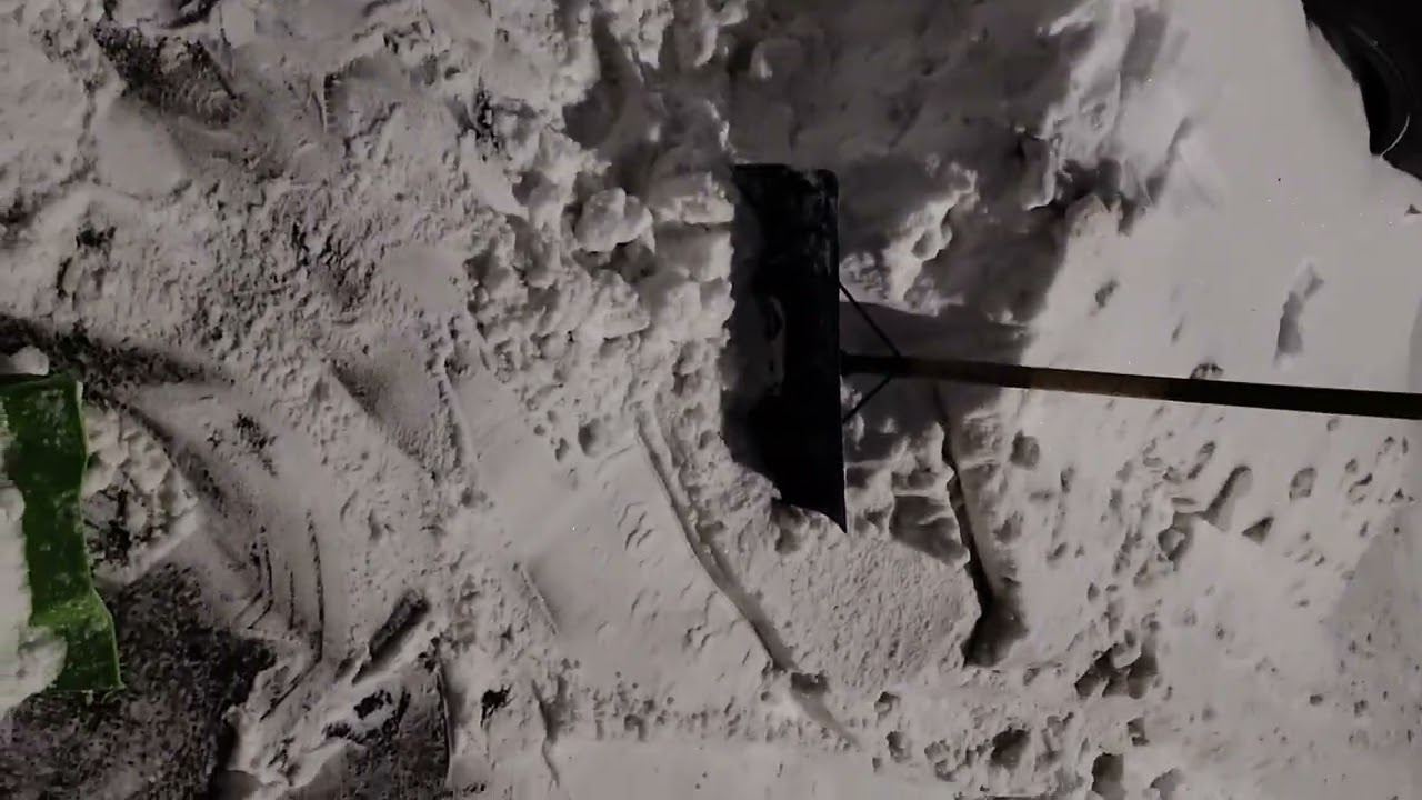 Brooklyn New York snow day 2026 