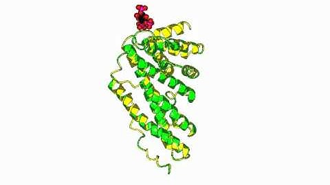 Epsin, AP180 N terminal homology domain for PIP2 binding