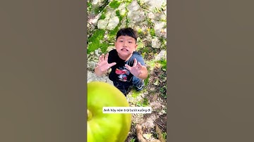 Anh trai hái trái bưởi nhà ông hàng xóm