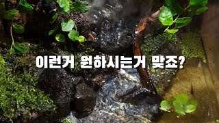 이런거  원하시는 거죠?    자연스러우면서 관리까지 평생  가능하다 !  신개념 팔루다리움  피치리움에서  만나보세요!