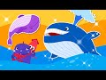 [Sing Along] Whale Song | Summer Sea Animal Song | Nursery Rhymes &amp; Kids Songs