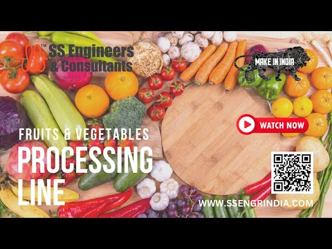 Fruits and Vegetables Processing Line 🥭🥒| food processing