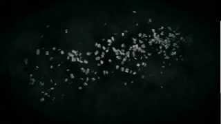 Fracture Project After Effect (free download)