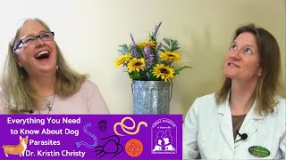 Dog Parasites - Everything You Need to Know