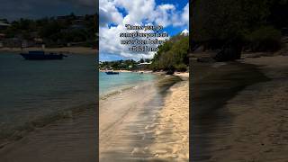 This island surprised us! Nature at its best in St Vincent & the Grenadines #travel #beach