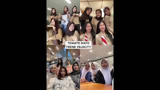 Download Lagu TREND VELOCITY TOMATO DANCE VIRAL TIK TOK #djtiktok #djviraltiktok #dancetiktok #fyptiktok MP3