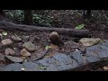 Middle of video