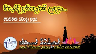 Let's cultivate the right precepts for Nibbana | Buddha Quotes in Sinhala | Amandee Vlogs | #Shorts screenshot 5