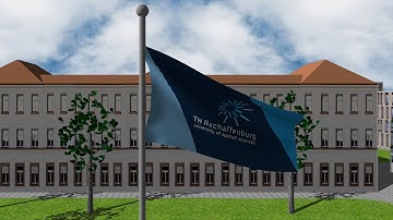 Flag and Cloth Simulation with MATLAB