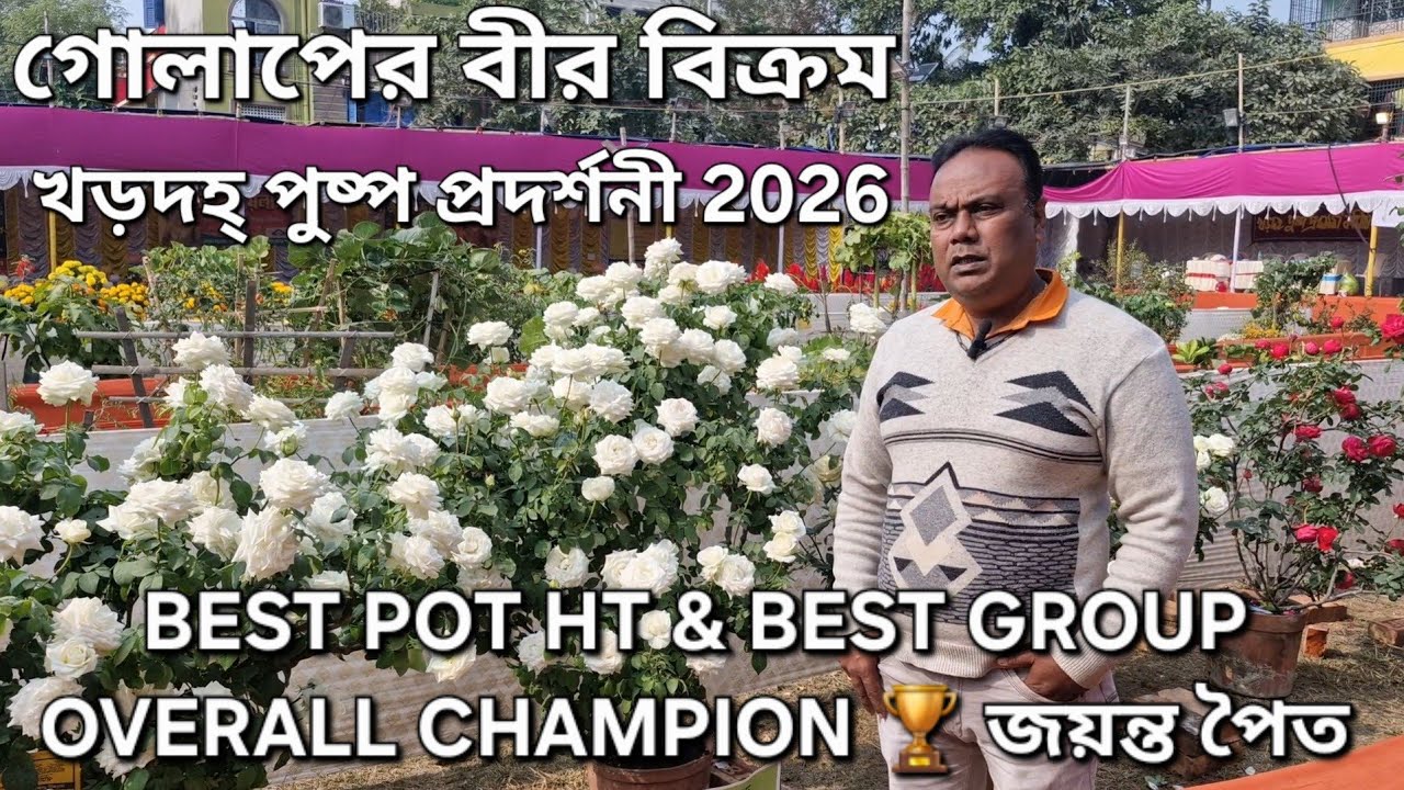 খড়দহ্ পুষ্প প্রদর্শনী 2026|গোলাপ🌹বেস্ট পট ও গ্রুপ| Overall Champion জয়ন্ত পৈত|