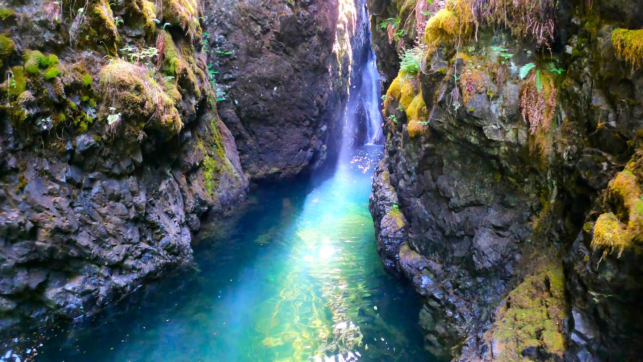 Vancouver Island's Ultimate Hidden Waterfall You Didn't Know