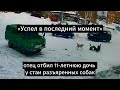 «Успел в последний момент»:  отец отбил 11-летнюю дочь у стаи разъяренных собак. #новостионлайн