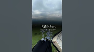 قرآن كريم بصوت عامر السعيدي