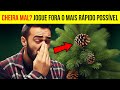 Se sua árvore de Natal tem um cheiro ruim, eis o motivo