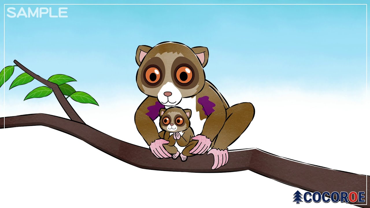 可愛い動物イラスト 特急 高品質 イラスト アニメーション制作 合同会社こころえ