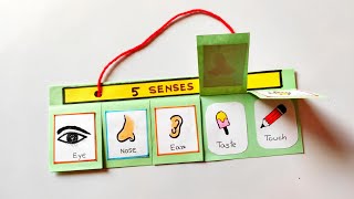 Sensory organs model for school project | How to make Sense Organs | Sensor organs craft model screenshot 2