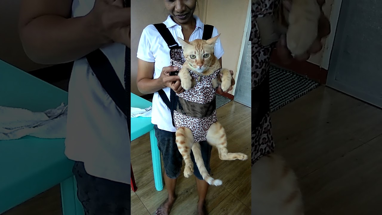 Godesu and Yaya Cynthia