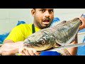 Huge Cobia Fish Cutting | Modha Fish By Expert cutter
