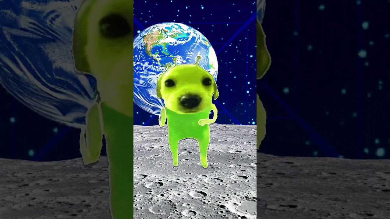 1234567890-/:;()$&@“.,zxvbn4((;6,6;96~%+}\%}+%}+=%}}%=~%+