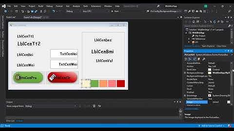 โปรแกรมคำนวณดัชนีมวลกาย (vb.net)